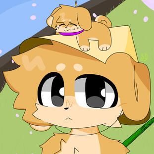 Skuji