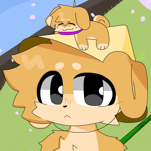 Skuji