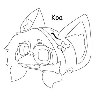 Koa